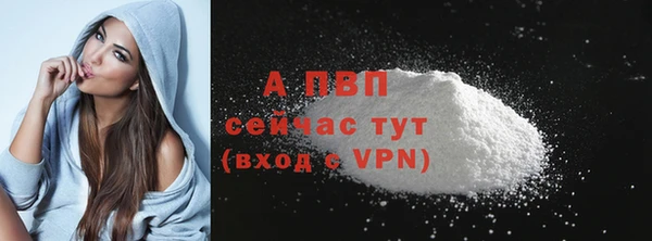 бошки Касимов