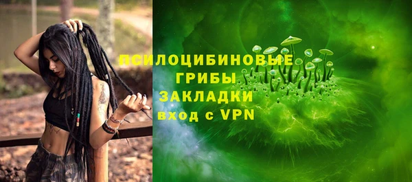 бошки Касимов