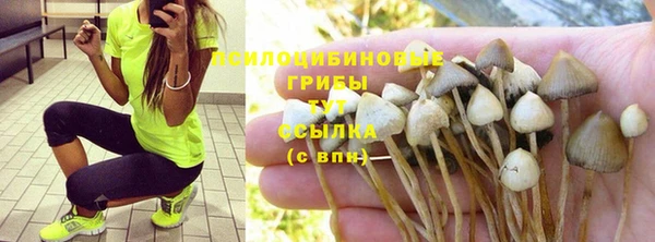 мяу мяу мука Карпинск