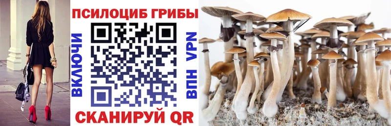 Купить  Ступино  Галлюциногенные грибы Magic Shrooms 